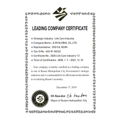 Leading Company Certificate Thumbnail Image